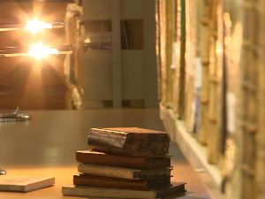 Доситеј путник посвећености: Младост