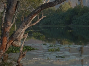 Вода за све 