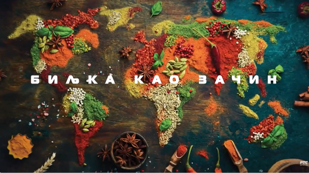 Наука 2024: Биљка као зачин