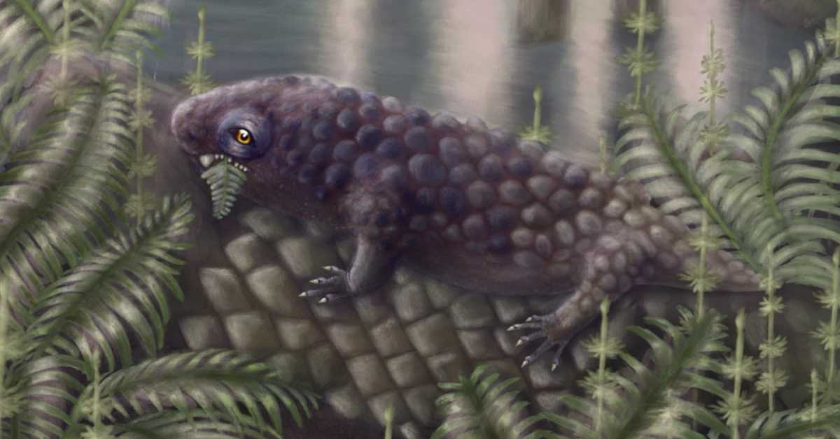 Најранија копнена створења уживала и у салати – нису сви били месождери пре 307 милиона година 