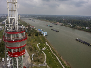 Невероватни опоравак кинеске жиле куцавице – потпуна забрана риболова оживела Јангце