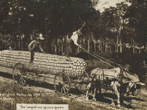 Фотографије су нас лагале и много пре вештачке интелигенције 