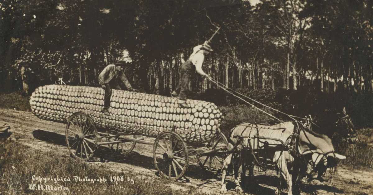 Фотографије су нас лагале и много пре вештачке интелигенције 