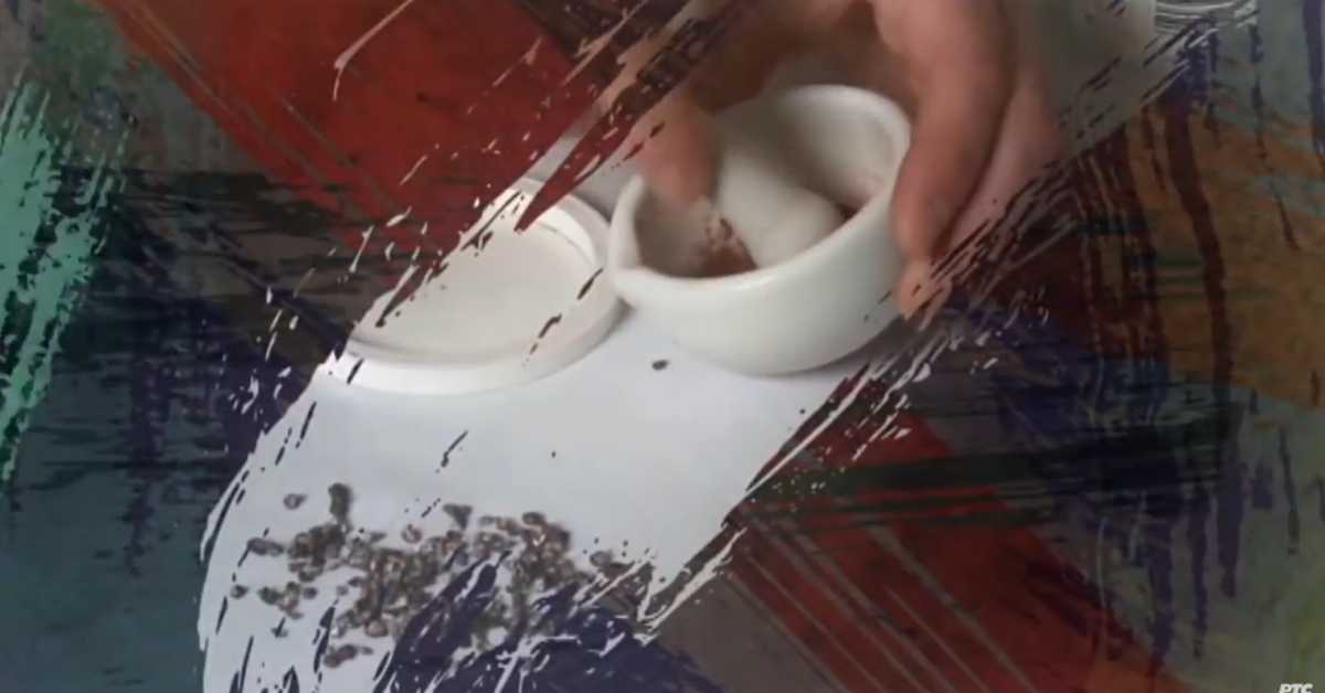 Од пигмента до концепта: Мозак и фреска