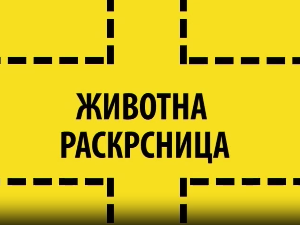 Животна раскрсница: Анорексија и булимија
