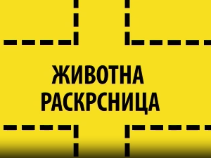 Животна раскрсница:	Правилна исхрана