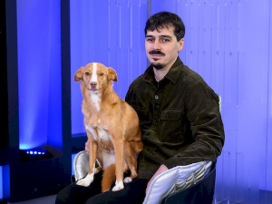 Велика илузија – Нове, старе приче