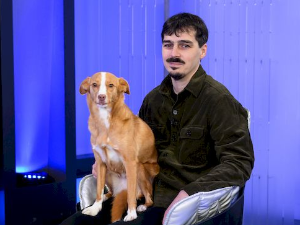 Велика илузија: Нове, старе приче