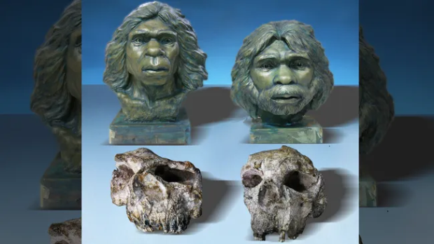 Апсолутно изненађење – лобање хомо еректуса откривене у Кини су 600.000 година старије него што се мислило