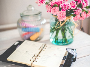 Дневни магазин културе