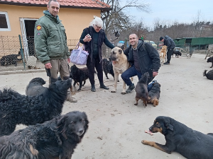  Горица Ангеловска Тапаи