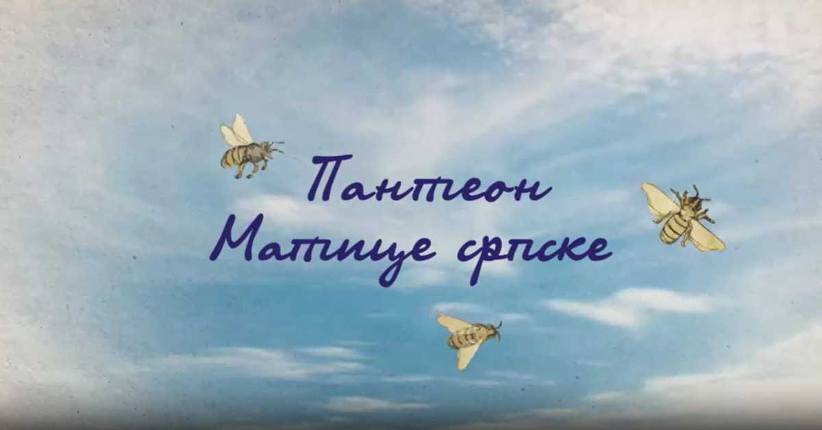 Пантеон Матице српске: Јован Хаџић, 3. еп.