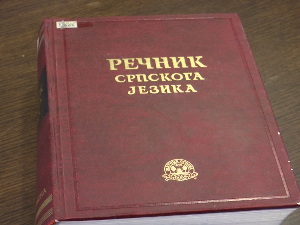 Богатство и лепота различитости – Међународни дан матерњег језика