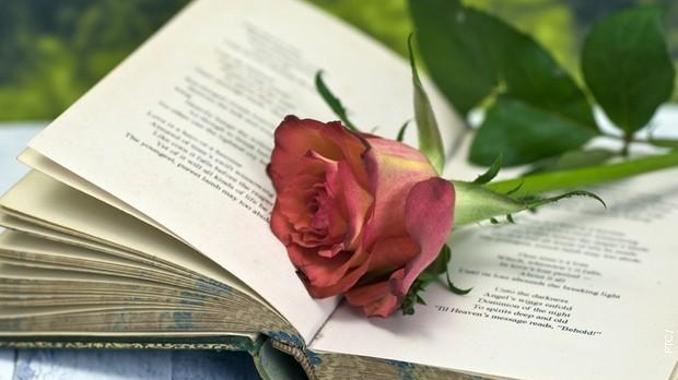 С песником у подне: Арсен Дедић: „Мостови“