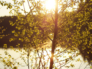Последњи фебруарски дан у знаку сунца – после свежег јутра, температура до 16 степени