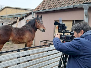 Знање имање: Домаћинске приче