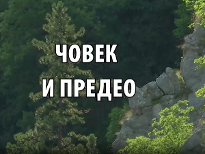 Човек и предео:	На Златном језеру