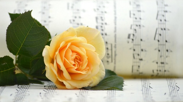 Класику молим : Избор за топ-листу класичне музике Радио Београда 2