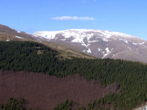 Пронађено шест тела у Бугарској - сумња се на ритуална убиства
