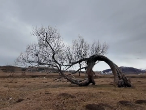 Где се крију врба којој громови ништа не могу, и мушки и женски извори чија се вода „користи за љубав