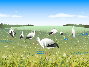 Поезија: Миленко Пајовић 7