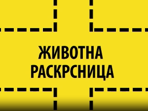 Животна раскрсница: ЕЛСА