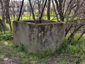 У aлексиначком селу Тешица пронађени лешеви власничких и паса луталица у бунару, против осумњичене кривична пријава