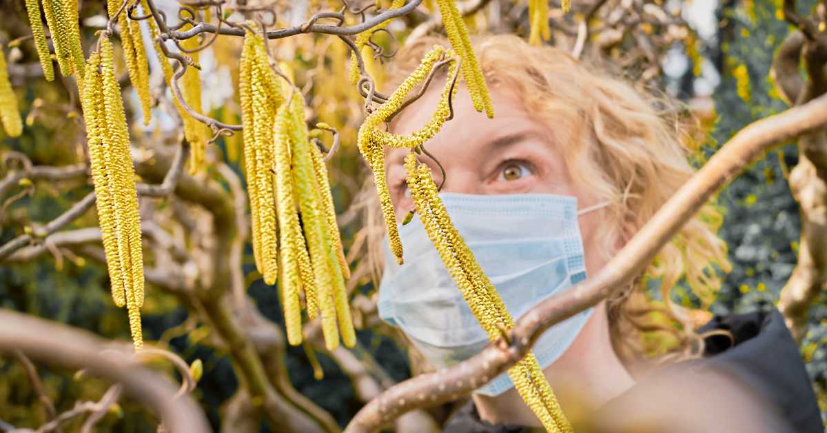 Да ли је могуће тренирати имуни систем да се одупре сезонским алергијама