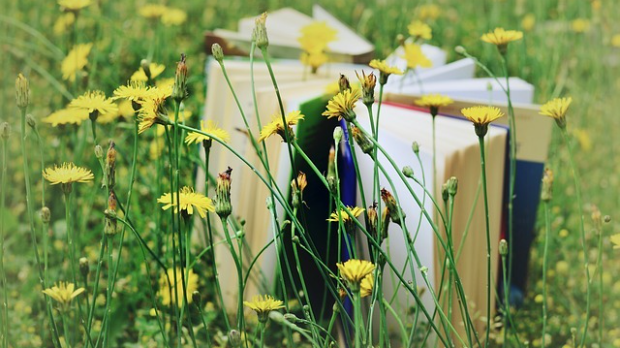 С песником у подне: Душан Костић: „Пријатељство”