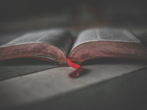 Шимон Цубота: „Време”