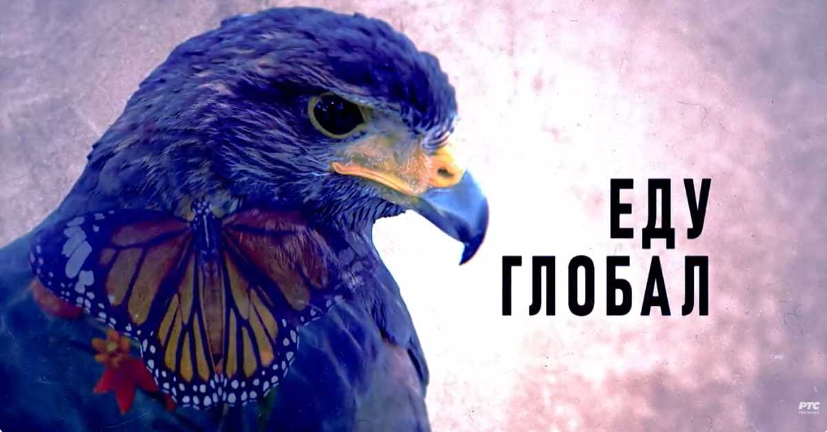 Еду глобал,  290. еп.