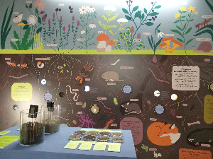 Испод површине