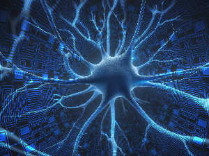 Научници први пут оживели активност у замрзнутом, па одмрзнутом мозгу