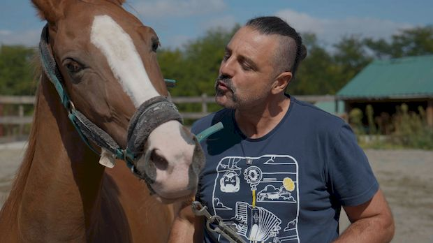 Ветеринарска мисија: Коњарење