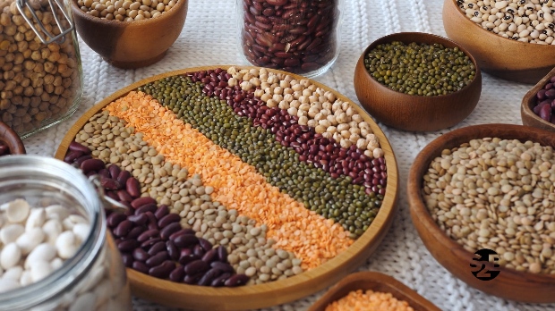 Наука привреди, 5. еп.