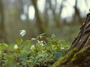 Ујутру сунце, поподне киша – стиже осетно хладније време