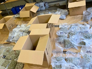 Заплењено 90 килограма марихуане, ухапшен мушкарац на граничном прелазу Шид