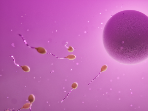 Оријентација сперматозоида у микрогравитацији могла би озбиљно утицати на путовања у свемир