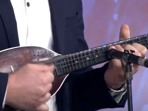 Променада – Војвођанске златне жице 2006.