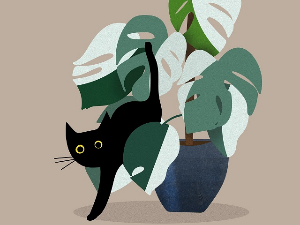 Добро јутро децо: Мачак Марко и кућица