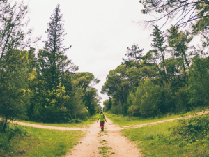 Еколошки магазин