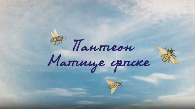 Пантеон Матице српске: Сава Текелија, 5. еп.