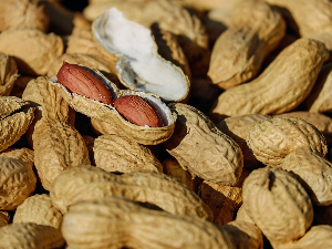 У устима откривени микроби који могу да разоружају протеине који изазивају алергију на кикирики