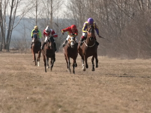 Традиционалне трке коња у Касидолу 