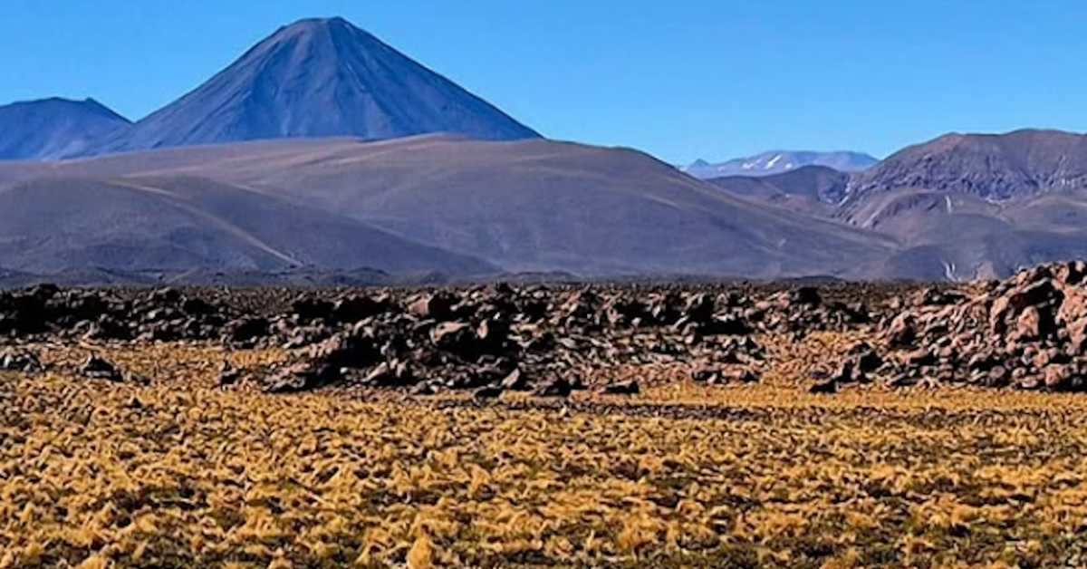 Испод врелог песка пустиње Атакама, буја живот