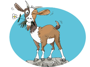 Три јарца прождрљивца