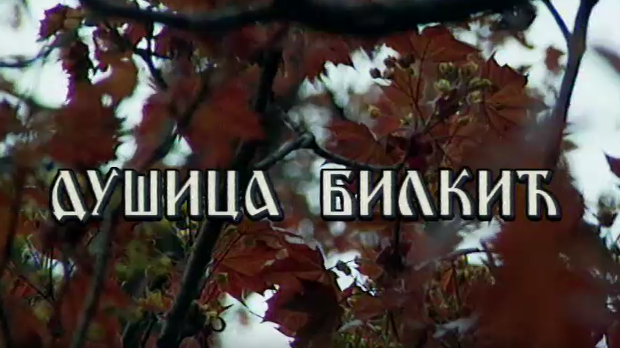 Лети, лети песмо моја мила: Постер Душице Билкић