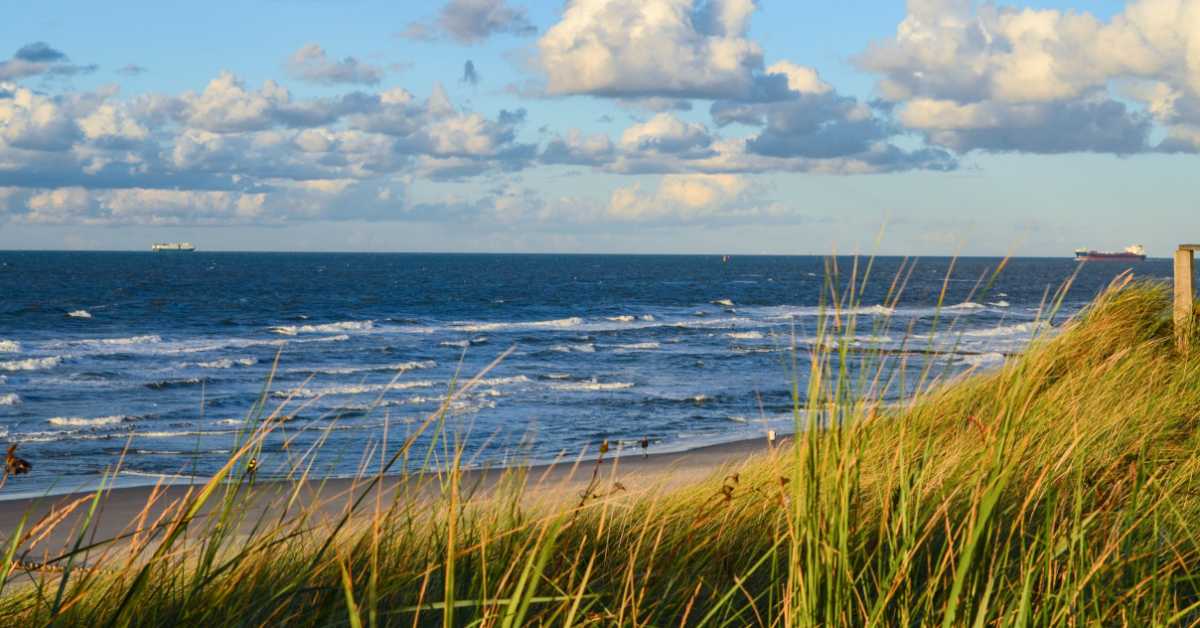  Балтичко море „тешко дише“ – у дубинама скоро да нема живота