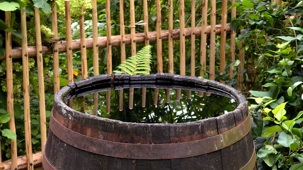 Чекајући ветар: Еколошки магазин