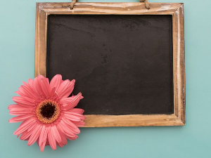 Портрет – Група „Жетва“